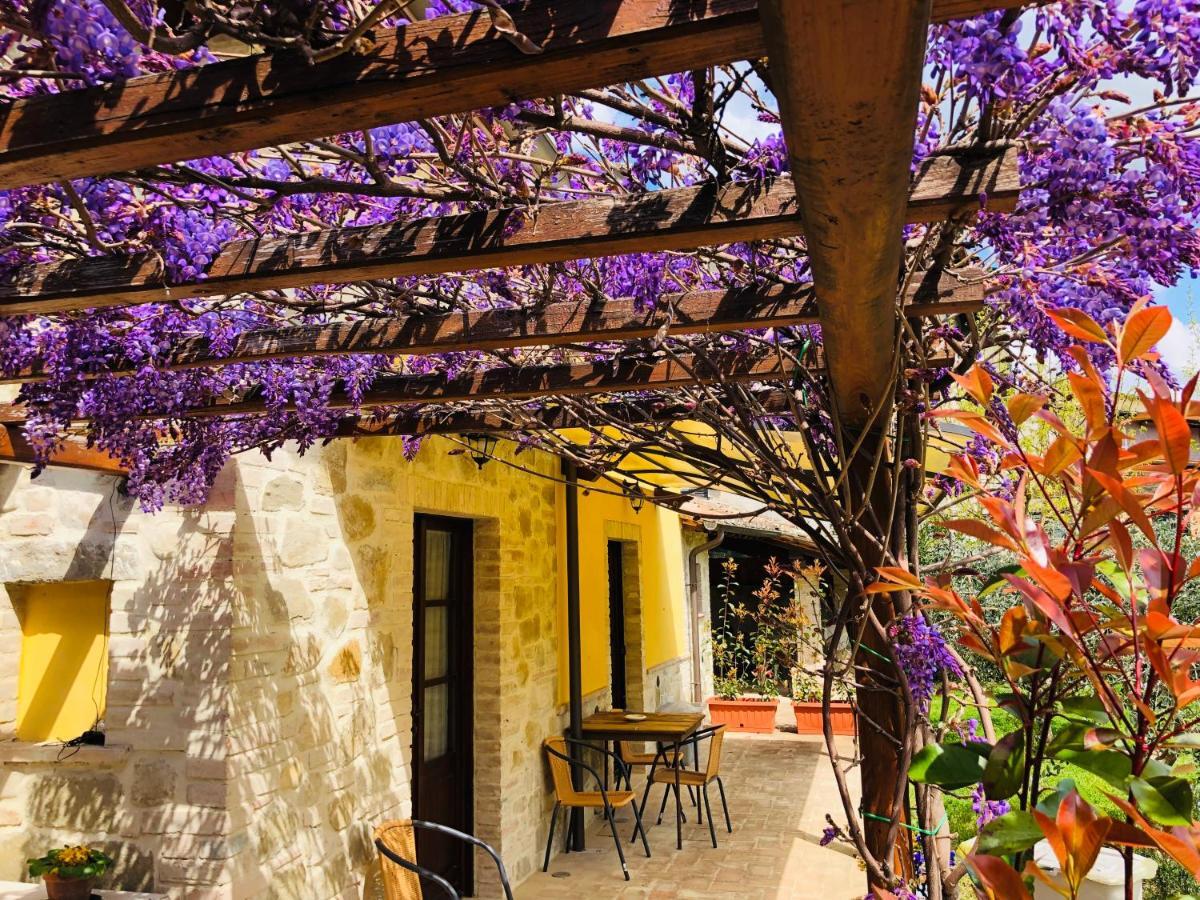 Il Cortile Delle Rose Holiday House Perugia Zewnętrze zdjęcie
